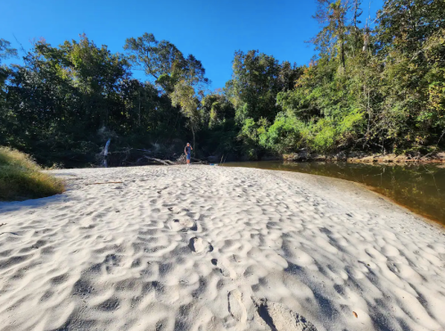 A sandy riverbank surrounded by lush greenery and trees under a clear blue sky.