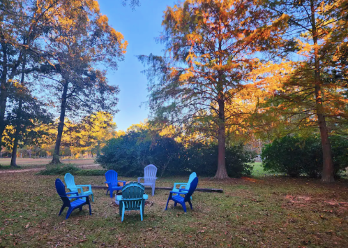 A circle of colorful Adirondack chairs in a serene outdoor setting surrounded by trees and autumn foliage.