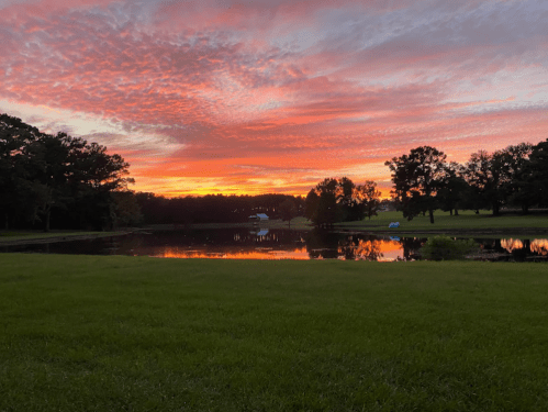 A vibrant sunset with pink and orange hues reflecting on a calm lake, surrounded by trees and grassy land.