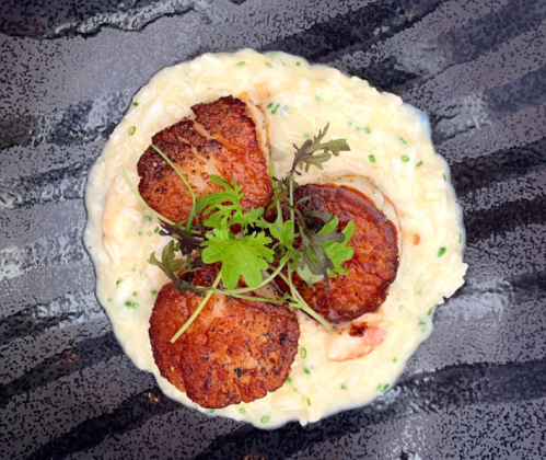 Three seared scallops on a creamy sauce, garnished with fresh herbs, served on a textured black plate.
