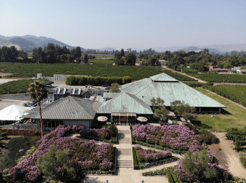 Aerial view of a winery surrounded by lush vineyards and vibrant flower gardens under a clear blue sky.