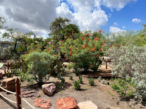A vibrant garden with flowering plants, cacti, and rocky paths under a partly cloudy sky.