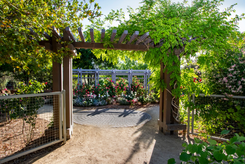 A garden entrance with a wooden archway, surrounded by lush greenery and colorful flowers in the background.