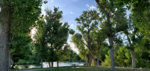 A serene park scene with lush green trees surrounding a calm lake under a clear blue sky.