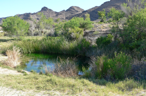 A serene pond surrounded by lush greenery and mountains under a clear blue sky.