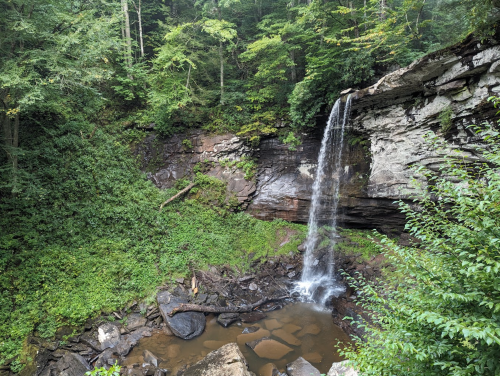 A serene waterfall cascades over rocky cliffs into a tranquil pool, surrounded by lush green foliage.