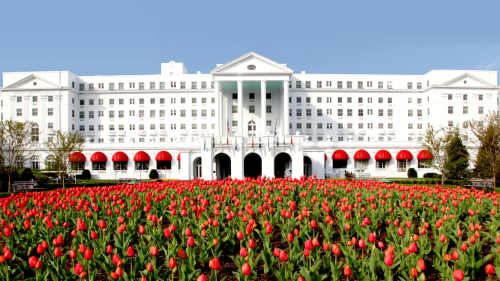 A grand white hotel with red awnings, surrounded by vibrant red tulips under a clear blue sky.