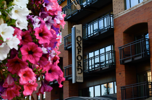 A close-up of colorful flowers in front of the Oxford Hotel, showcasing its sign and balconies.