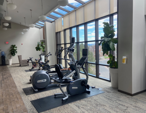 A bright gym area with exercise equipment, large windows, and potted plants, creating an inviting workout space.