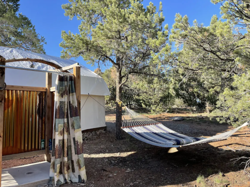 A cozy outdoor scene featuring a hammock between trees and a yurt with a colorful curtain nearby.