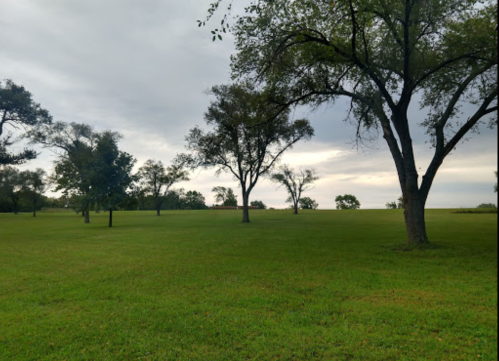 A grassy field with several trees under a cloudy sky, creating a serene outdoor landscape.