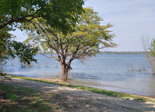 A serene lakeside scene with a tree, calm water, and a clear sky, surrounded by greenery.