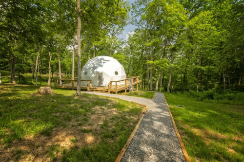 A white dome-shaped structure on a wooden deck, surrounded by lush green trees and a gravel pathway.