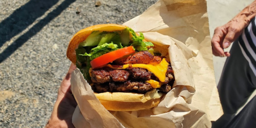 A hand holding a delicious burger with lettuce, tomato, cheese, and a juicy patty, wrapped in paper.