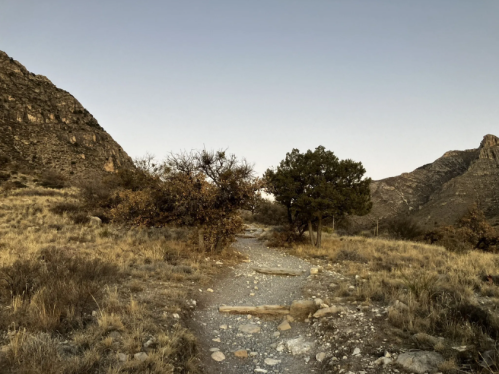 A rocky trail winds through a grassy area, flanked by mountains and sparse trees under a clear sky.
