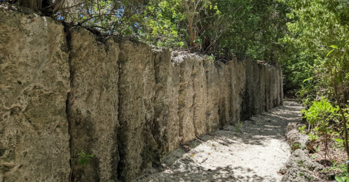 A narrow path lined with tall, rough stone walls, surrounded by lush greenery and trees.