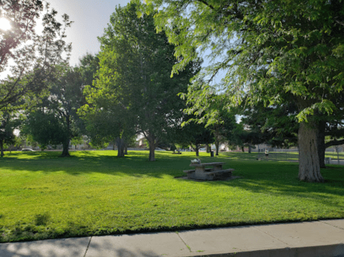 A sunny park scene with lush green grass, trees, and picnic tables under a clear blue sky.