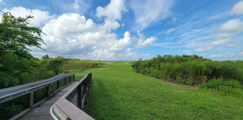 A wooden boardwalk leads through lush green grass and trees under a bright blue sky with fluffy white clouds.