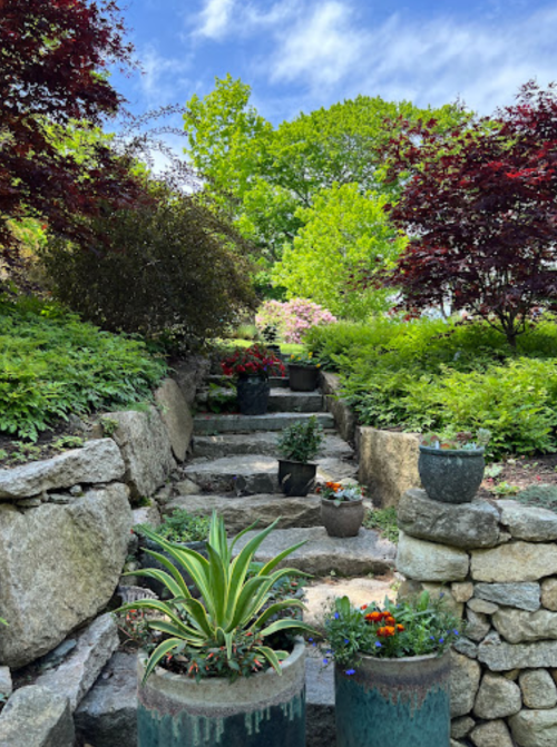 A stone pathway with potted plants leads through a lush garden with vibrant greenery and colorful flowers under a blue sky.