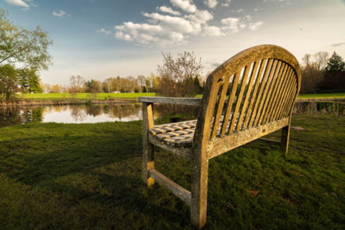 A weathered wooden bench by a tranquil pond, surrounded by lush greenery and a cloudy sky.