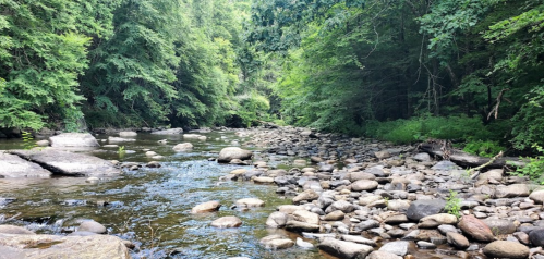 A serene river flows through a rocky bed, surrounded by lush green trees and foliage.