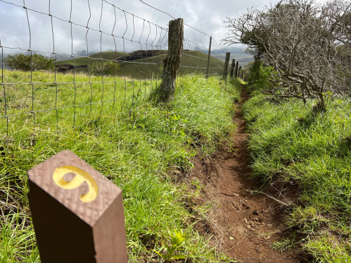 A grassy trail beside a fence, marked by a wooden post with the number 9, under a cloudy sky.