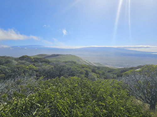 A scenic view of rolling green hills under a bright blue sky with wispy clouds and distant mountains.