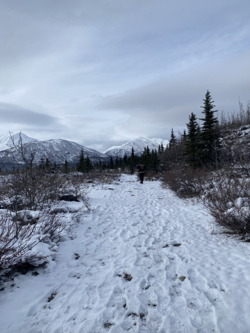 A snowy trail winds through a mountainous landscape, surrounded by evergreen trees and rocky terrain under a cloudy sky.