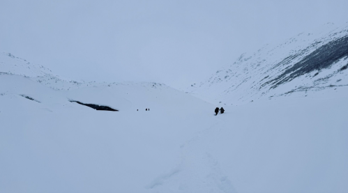Two figures walk through a vast, snowy landscape with mountains in the background under a gray sky.