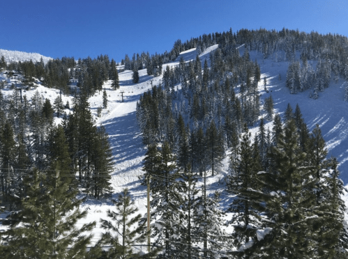 Snow-covered mountain slope with evergreen trees under a clear blue sky.
