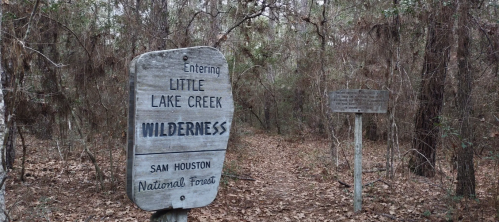 Sign marking the entrance to Little Lake Creek Wilderness in Sam Houston National Forest, surrounded by trees and foliage.