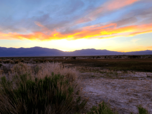 A vibrant sunset over mountains, with colorful clouds and a grassy foreground in a serene landscape.