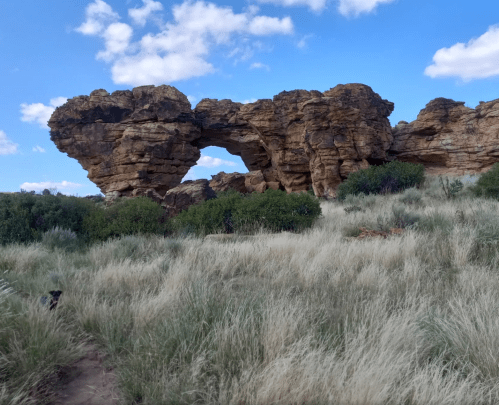 A natural rock formation with an arch, surrounded by tall grass and shrubs under a blue sky with clouds.