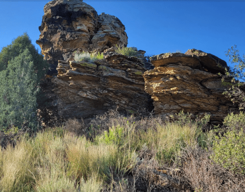 A rocky outcrop surrounded by green vegetation under a clear blue sky.