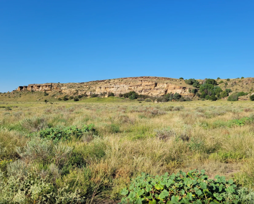 A wide view of a grassy landscape with a rocky cliff under a clear blue sky.