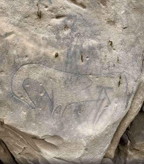Petroglyph on a rock surface, featuring abstract shapes and lines in a natural setting.