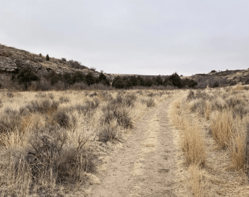 A winding dirt path through dry grass and shrubs, surrounded by rocky hills under a cloudy sky.