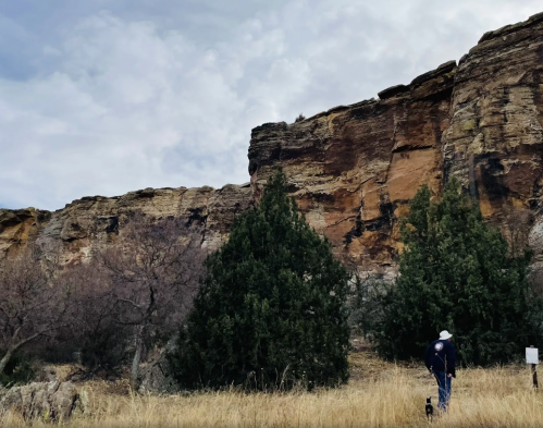A person walks a dog near a rocky cliff, surrounded by trees and tall grass under a cloudy sky.