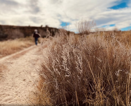 A sandy path leads through tall, dry grass under a cloudy sky, with a person walking in the background.
