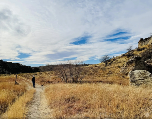 A person walks a dog along a dirt path through a grassy landscape under a cloudy sky.