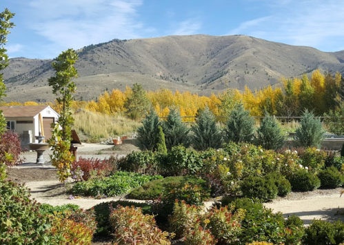 A scenic garden with various plants, shrubs, and trees, set against a backdrop of mountains and autumn foliage.