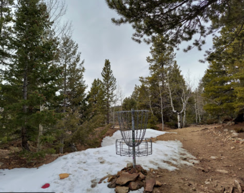 A disc golf basket surrounded by trees and patches of snow on a wooded trail.