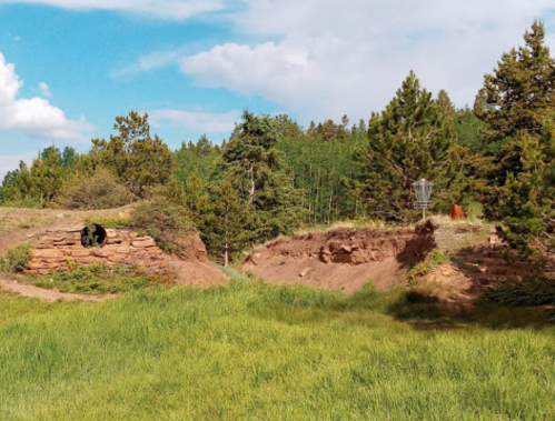 A grassy area with rocky outcrops and trees, featuring a disc golf basket in the background under a blue sky.