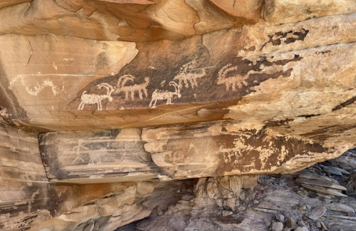 Petroglyphs depicting animals carved into a rocky surface, showcasing ancient artistic expressions.