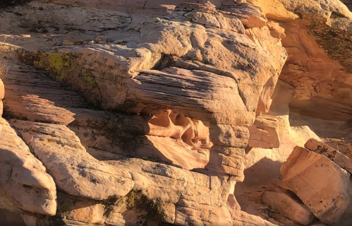 Close-up of textured rock formations with layered patterns and warm colors, showcasing natural erosion and geological features.