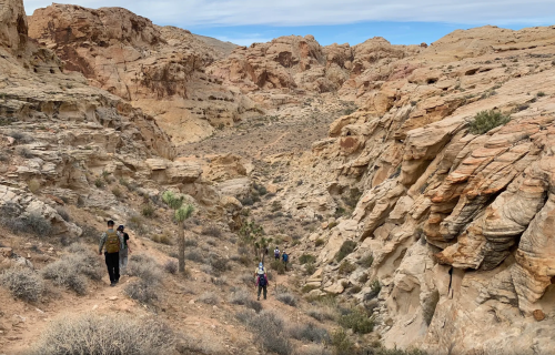 Hikers navigate a rocky canyon landscape with layered rock formations and sparse vegetation under a cloudy sky.