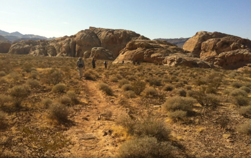 Two hikers walking on a dirt path through a rocky desert landscape with sparse vegetation and mountains in the background.