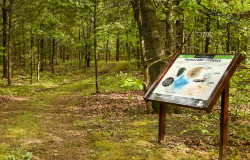 A trail in a forest with a sign about prehistoric evidence, surrounded by trees and fallen leaves.