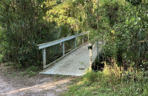 A small wooden bridge surrounded by lush greenery and trees in a natural setting.