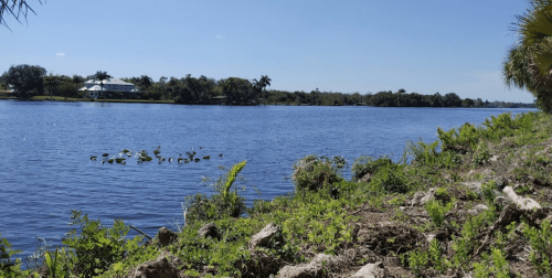 A serene river scene with lush greenery along the bank and a clear blue sky reflecting on the water.